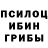 Галлюциногенные грибы Psilocybine cubensis SSM_222