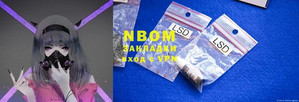 ПСИЛОЦИБИНОВЫЕ ГРИБЫ Алексин