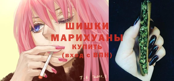 шишки Алзамай