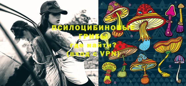крисы Рославль