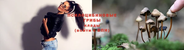 соль курить ск Алексеевка