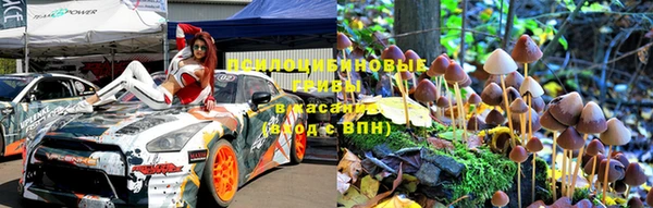 шишки Алзамай