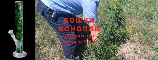 шишки Алзамай