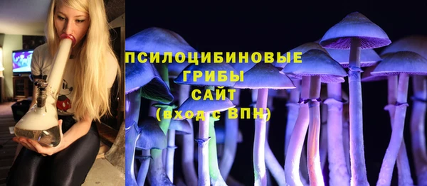 шишки Алзамай