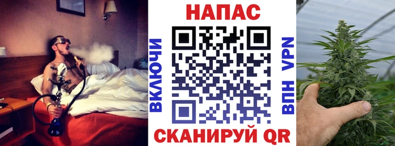 Каннабис план  Жиздра 